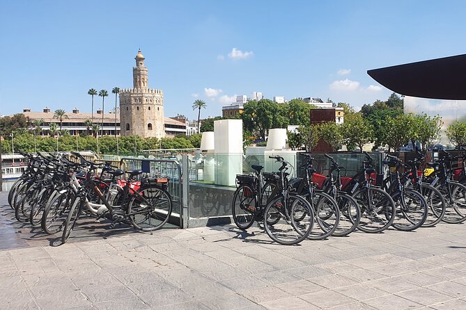 Guided Bike Tour of Seville With a Certified Guide - Last Words