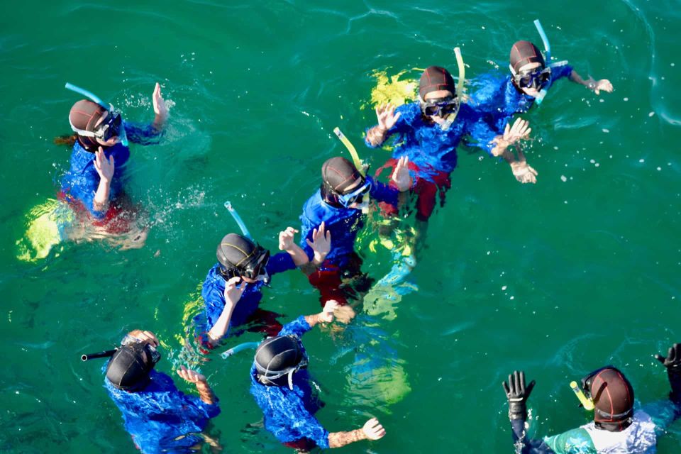 Guided Snorkeling Tours Auckland - Common questions