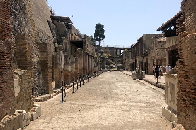 Guided Tour to Pompei and Herculaneum: Skip-the-line Tickets - Common questions