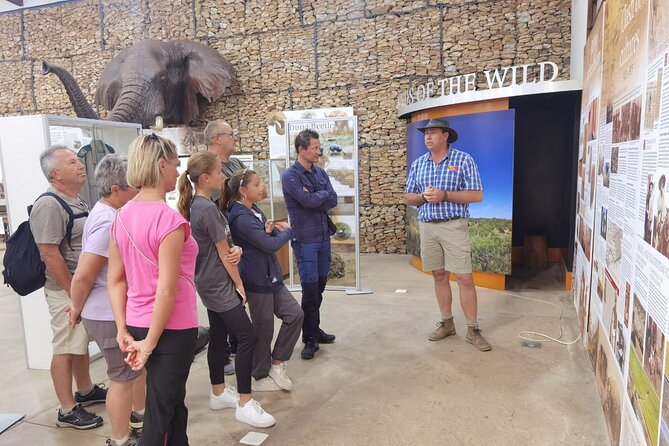 Half-Day Addo Elephant National Park Safari - Booking Information