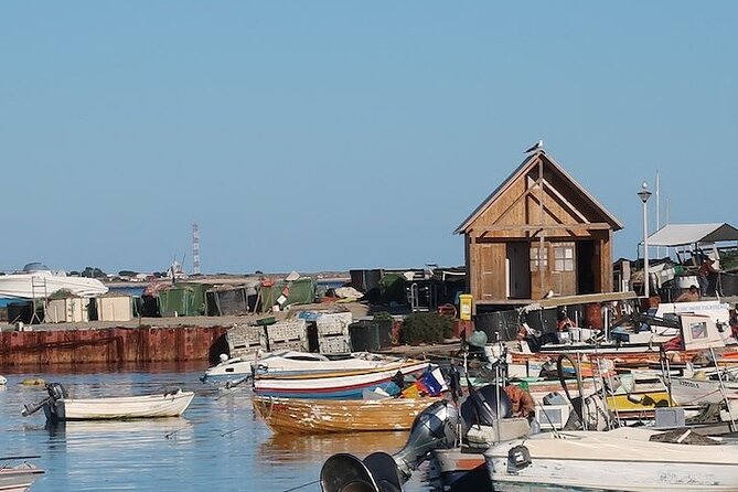 Half-Day Boat Trip to the Ria Formosa Islands - Last Words