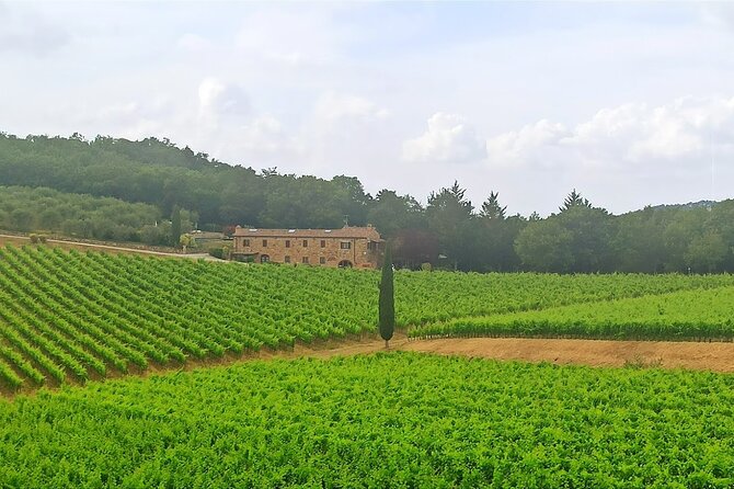 HALF-DAY: Chianti Classic Tour With Wine Experience & Visit of San Gimignano - Pricing and Booking Information