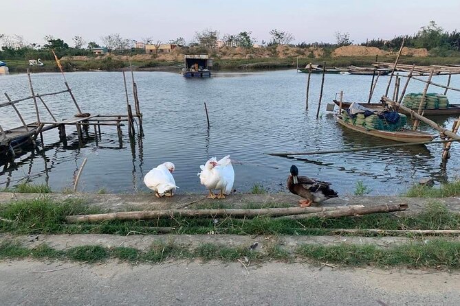 Half Day Countryside Motorbike Tour From Hoi an - Last Words