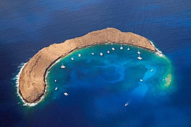 Half-Day Deluxe Molokini Snorkel Excursion in Maui - Weather Contingency Plans