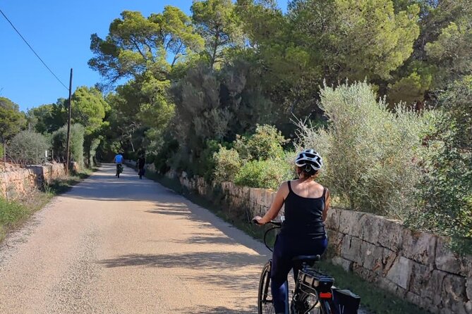 Half-Day E-Bike Tour to the Sineu Market - Copyright Notice