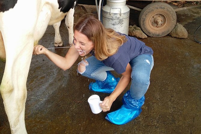 Half-Day Farm Visit and Cow Milking Experience - Additional Guidelines