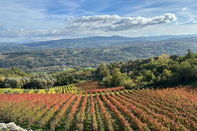 Half-Day Irpinia Wine Tour From Salerno - Common questions