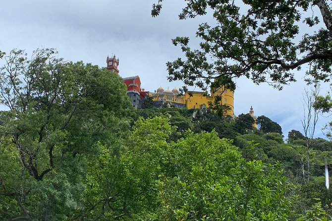 Half Day Park and Pena Palace and Sintra Village Private Tour - Host Feedback