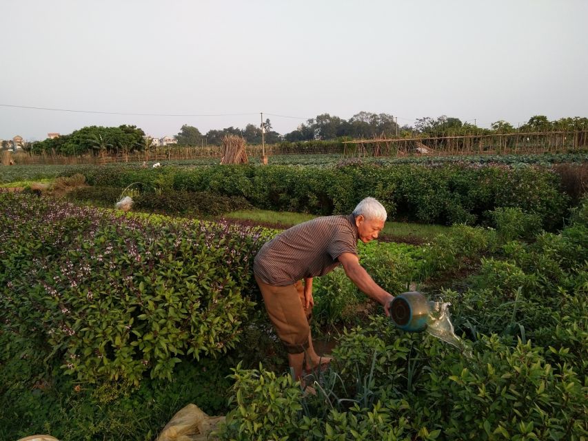 Hanoi Farm Tour and Cooking Class With Local Family - Directions