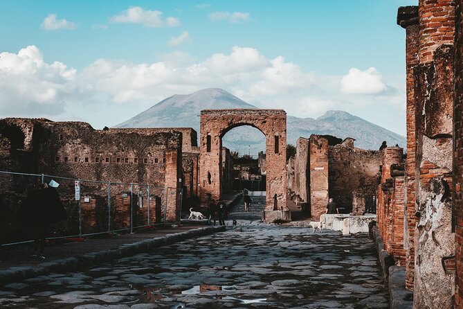 Herculaneum and Pompeii Private Tour - Common questions