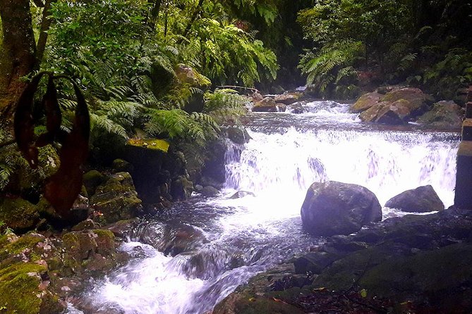 Hidden Corners: Levada Walk From Funchal - Last Words