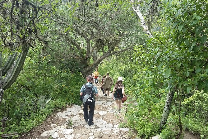 Hierve El Agua and Teotitlan Del Valle Tour From Oaxaca - Last Words