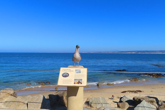 Historic Cannery Row: A Self-Guided Audio Tour of John Steinbecks Monterey - Additional Information