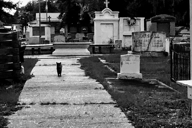 Historic Ghost Cemetery Walking Pub Crawl Of Bay St. Louis - Common questions