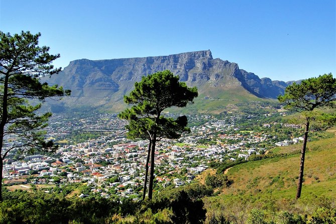 Historical City & Table Mountain - Local Cuisine