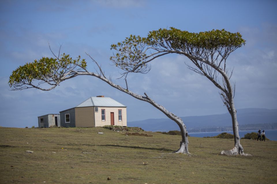 Hobart: Maria Island National Park Active Full-Day Tour - Important Information