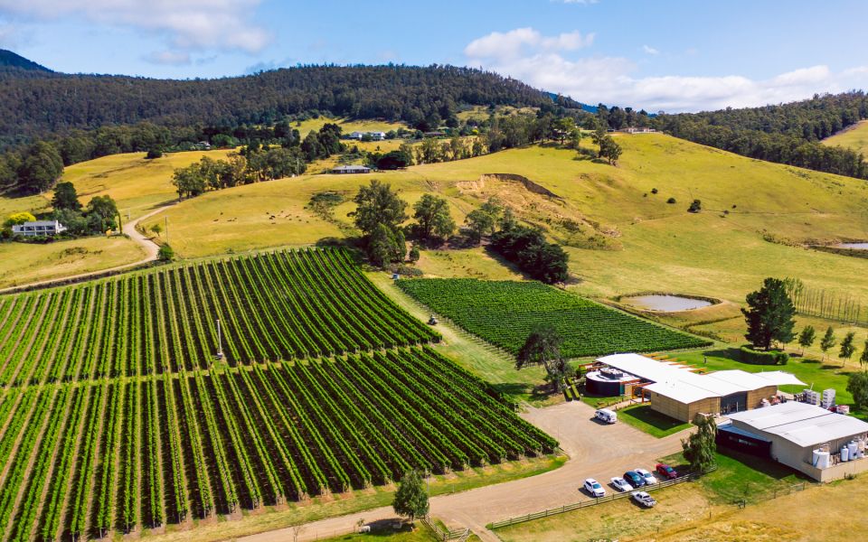 Hobart: Top Tasmanian Wineries Day Tour With Tastings - Booking Information
