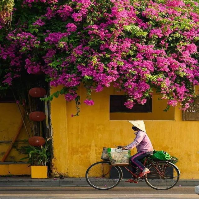 Hoi An City Tour From Hoi An/ Da Nang by Private Tour - Charming Ambiance and Architecture