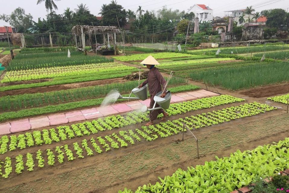 Hoi An: Countryside Biking - Market - Farming -Cooking Class - Cooking Class Information