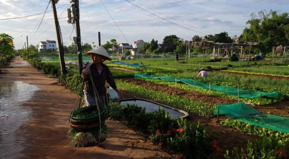 Hoi An Countryside Sightseeing & Basket Boat By Private Tour - Common questions