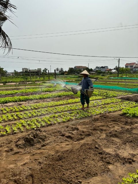 Hoi An Eco Bicycle Tour and Basket Boat Ride - Last Words