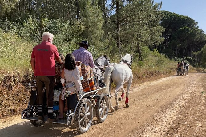 Horse Carriage Tour on the Mountain in Palmela - Assistance Available