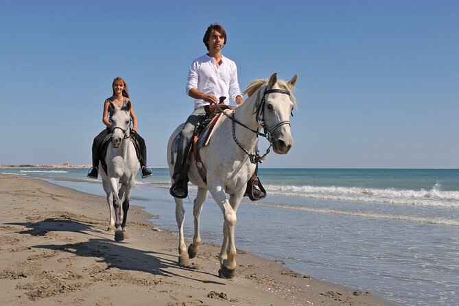 Horse Riding on the Beach in Side - Last Words