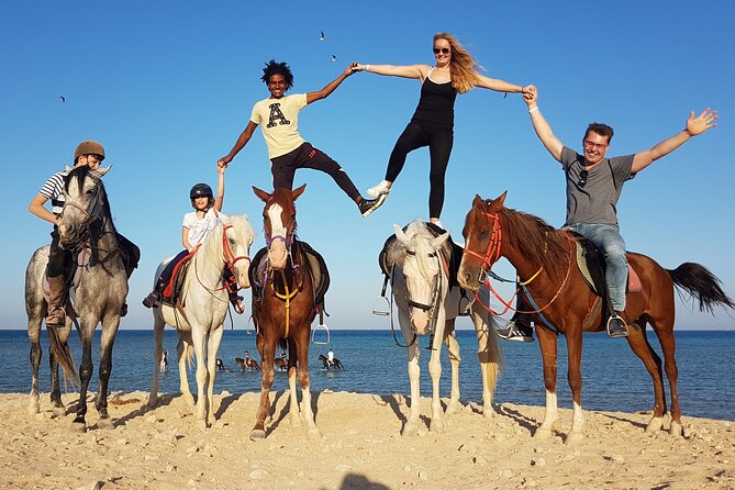 Horse Riding Tour 2 Hours Sea and Desert With Transfer - Hurghada - Safety Guidelines