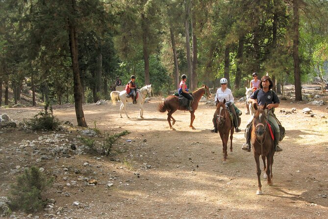 Horse Riding Tour in Bodrum With Hotel Pick up - Tour Directions