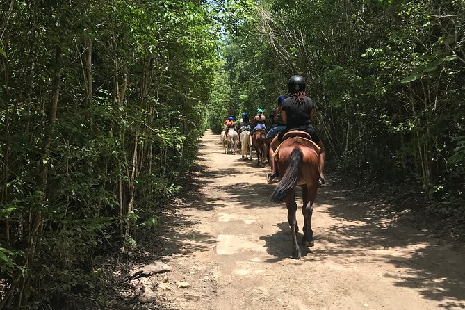 Horseback Riding Plus ATV, Cenote, Ziplines, and Lunch - Last Words