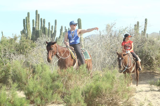 Horseback Riding Tour in Cabo San Lucas - Common questions