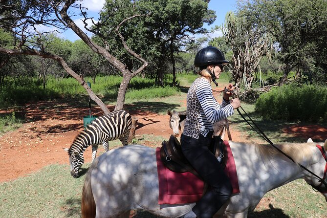Horseback Safari Adventure in Hartbeespoort From Johannesburg - Common questions