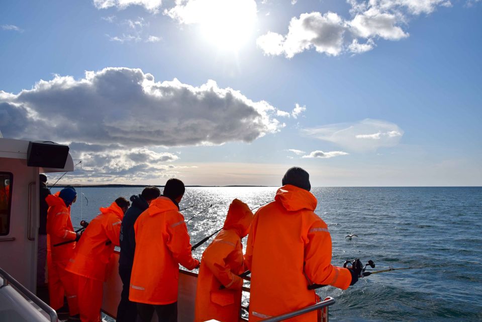 Icelandic Sea Fishing From Reykjavik - Directions