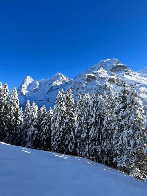Interlaken: Snowshoe and Fondue Adventure in the Swiss Alps - Last Words