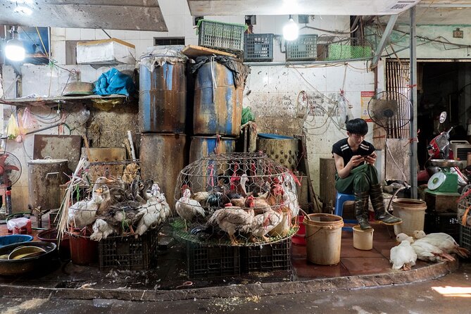 Into the Thieves Market Hanoi Photo Tour - Copyright Notice and Compliance