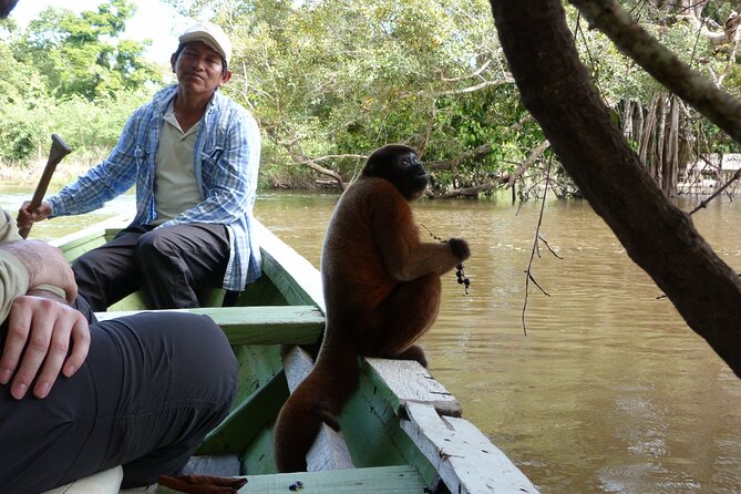 Iquitos Jungle 4 Days Private Tour -Native Community Project- - Last Words