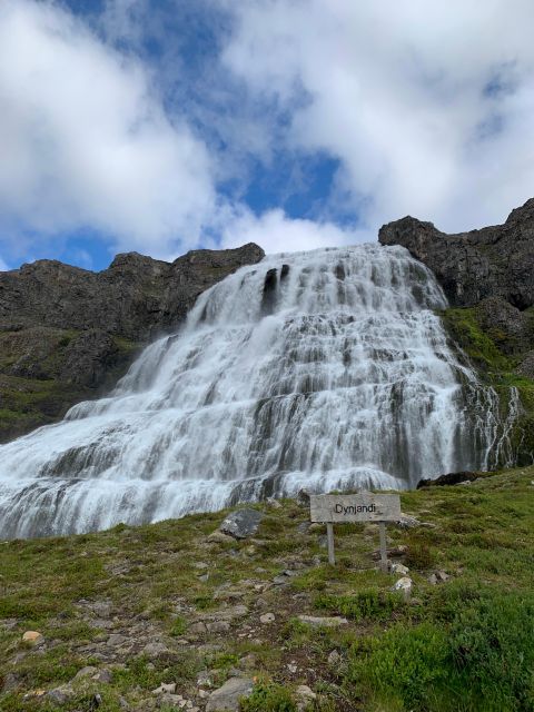 Isafjordur: Dynjandi Waterfall Tour and Icelandic Farm Visit - Customer Reviews