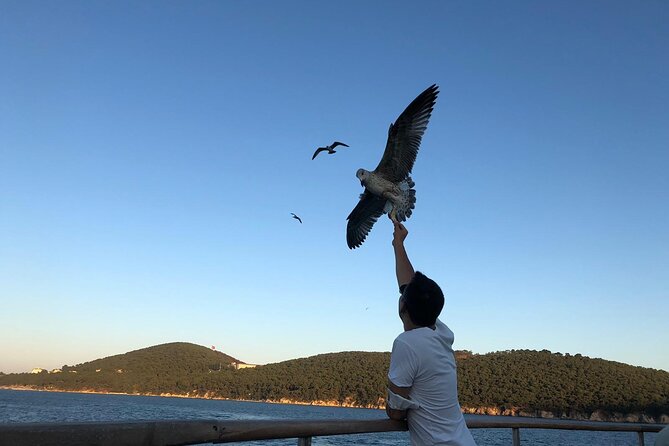 Istanbul Princes Islands Heybeliada Buyukada Guided Tour - Last Words