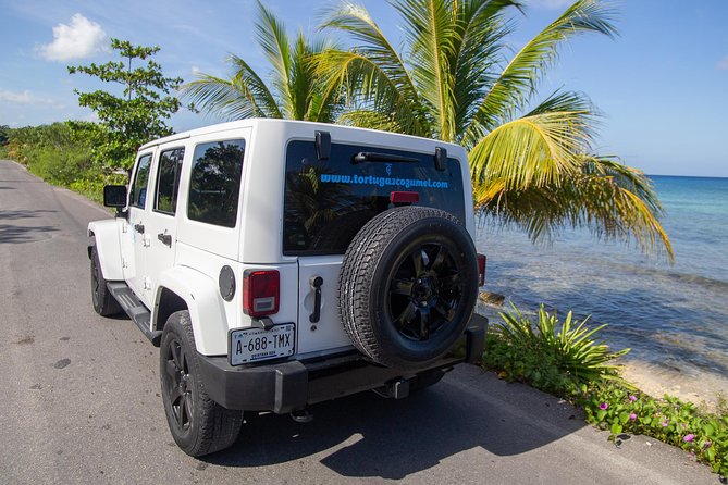 Jeep Exploration & All Inclusive Tortugas Beach Break (Private) - Additional Information and Support