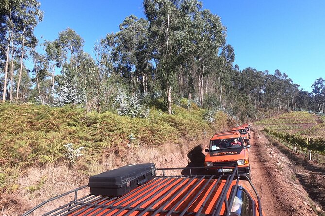 Jeep Tour Câmara De Lobos - Half Day - Customer Reviews