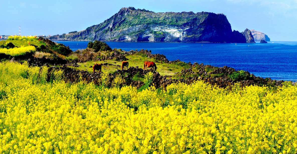 Jeju Island: Customized Private Full-Day Van Tour - Common questions