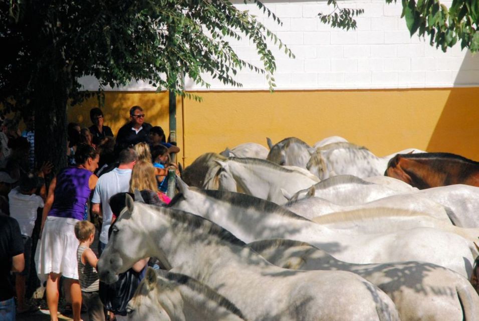 Jerez: Cartuja Stud Farm Carthusian Horses Tour - Common questions