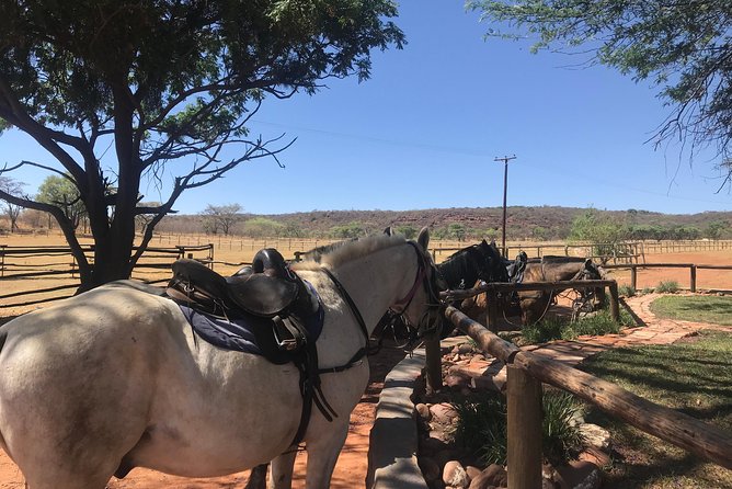 Johannesburg Private Horseback Riding Safari  - Pretoria - Common questions