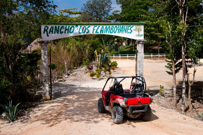 Jungle Buggy Tour From Playa Del Carmen Including Cenote Swim - Last Words