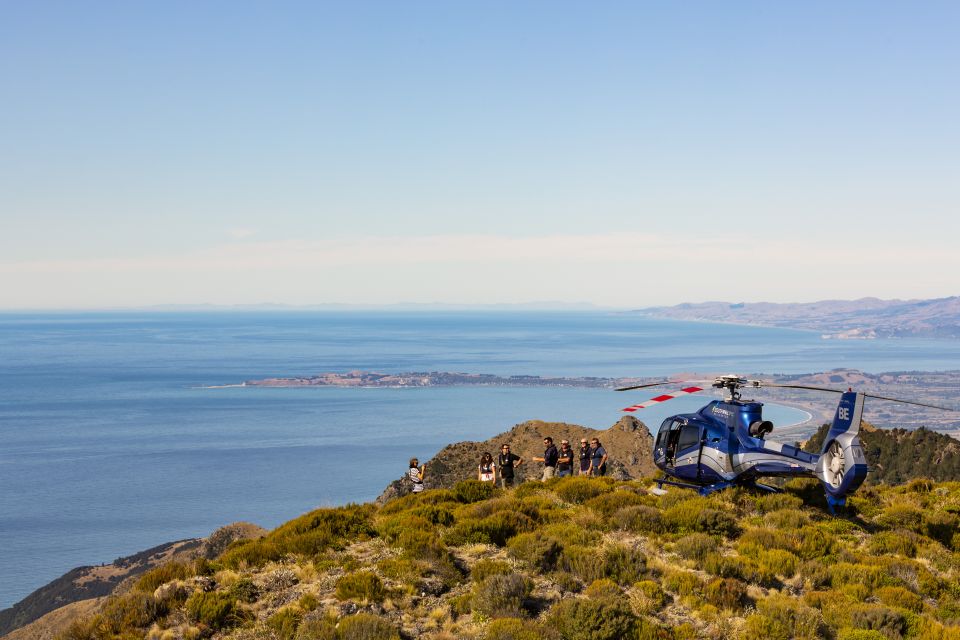 Kaikoura: 1-Hour Whale Watching Helicopter Tour - Common questions