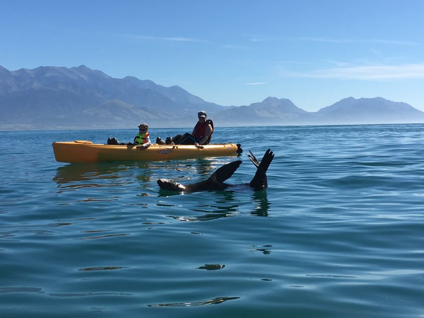 Kaikoura: Seal-Watching Pedal Kayak Tour - Booking Flexibility