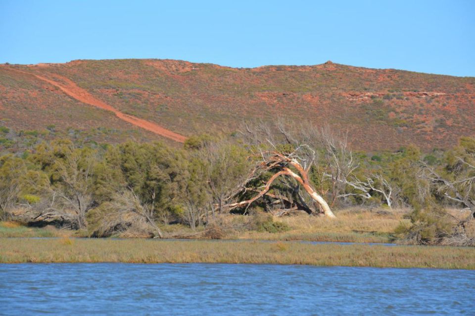 Kalbarri: Cruise on the Murchison River - Common questions
