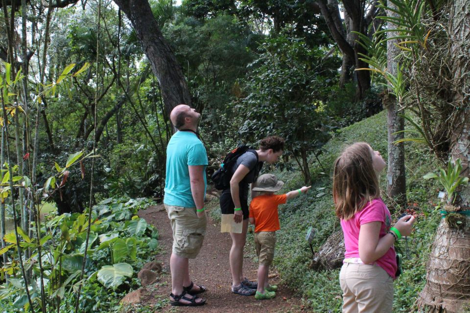 Kauai: McBryde Garden Self Guided Visit - Location Details