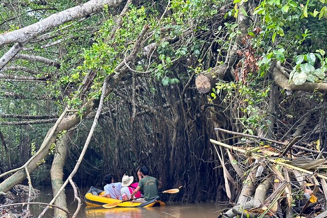 Khao Lak Elephant Sanctuary Visit and Mangrove Kayak Tour - Copyright and Legal Considerations