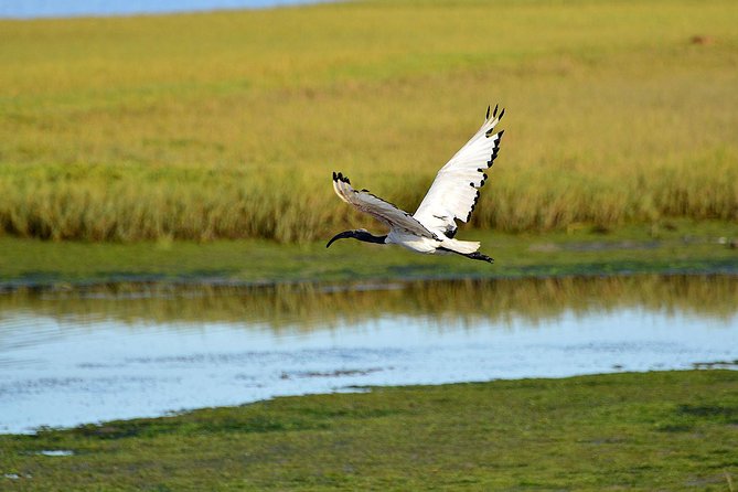 Knysna Heads & Lagoon Adventure Tour - Call to Action